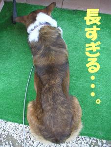 長すぎる・・・。