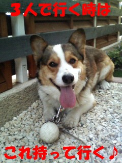 これ持って行く♪