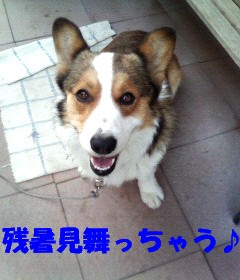 残暑見舞っちゃう♪