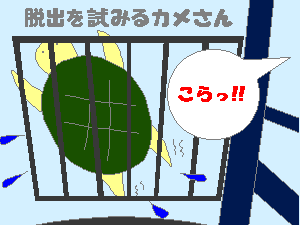 カメと旦那ちゃま２（ねり作）