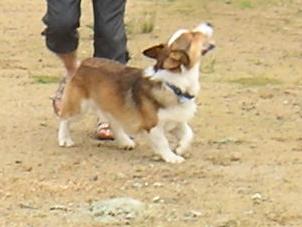 ひるがの高原１７