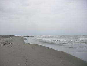 中田島砂丘２５