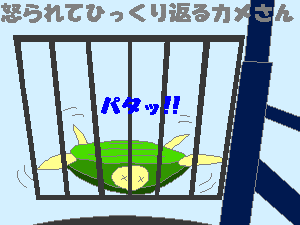 カメと旦那ちゃま３（ねり作）