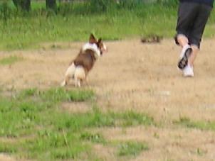 ひるがの高原２３