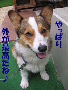 やっぱり外が好き