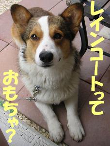 レインコートっておもちゃ？