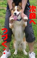 次回へつづく・・・