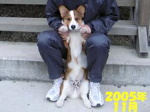 恒例行事１回目