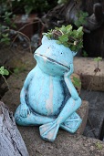 IMG_5603.JPG