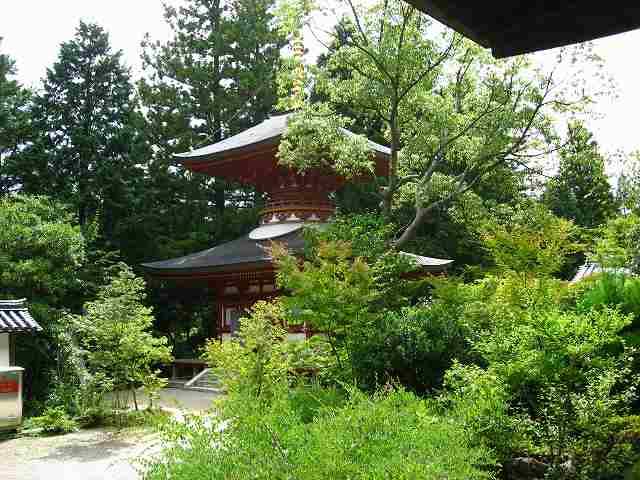 本堂から多宝塔