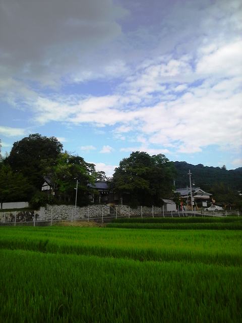 鏡神社携帯で２
