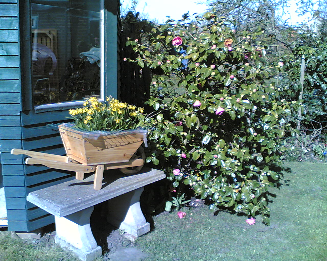 リヤカーその後