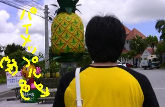 パイナップルパーク１.JPG