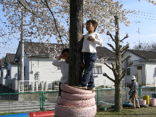 桜の木の下で★H20