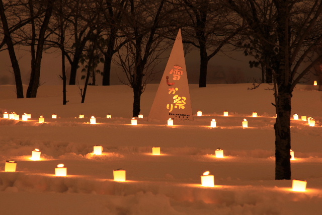 2010 長岡雪しか祭り2010