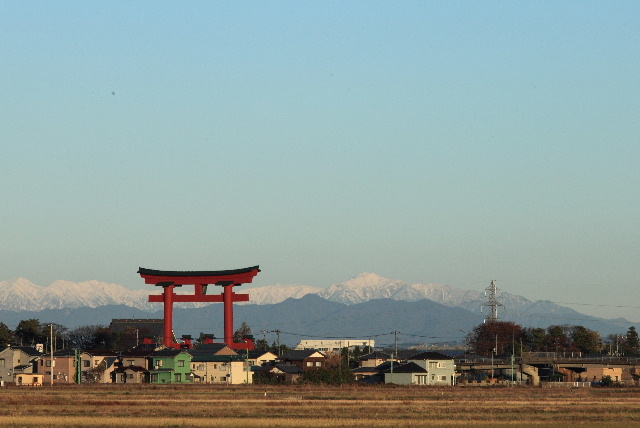 彌彦神社　大鳥居