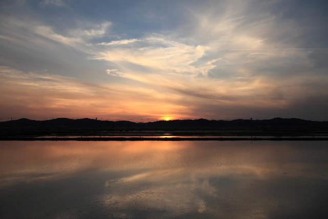 水田の夕景 10.05.17