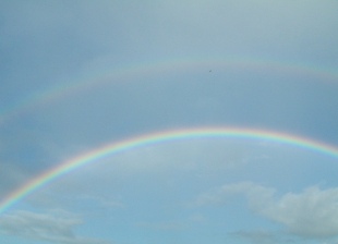 いつもこころに虹を