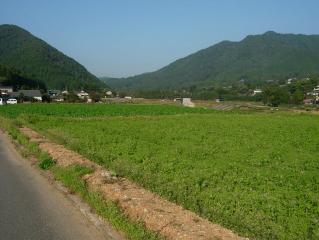 江紋峠～大原の大原の風景