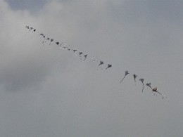 20090111新年式＆連たこに挑戦！ 065.jpg