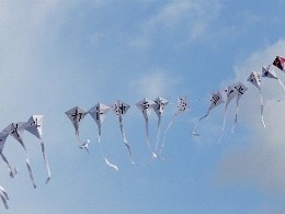 20090111新年式＆連たこに挑戦！ 075.jpg