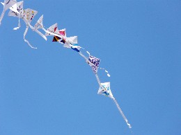 20090111新年式＆連たこに挑戦！ 093.jpg