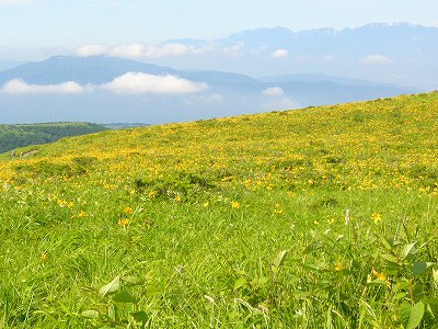 霧が峰 021.jpg