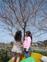 滑川運動公園