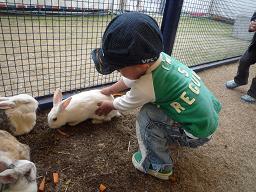 ふれあい動物園