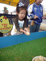 ふれあい動物園