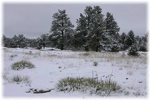 Castlewood Canyon State Park