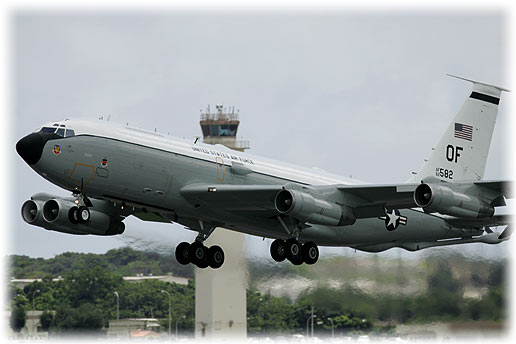 IY9E4962.jpg