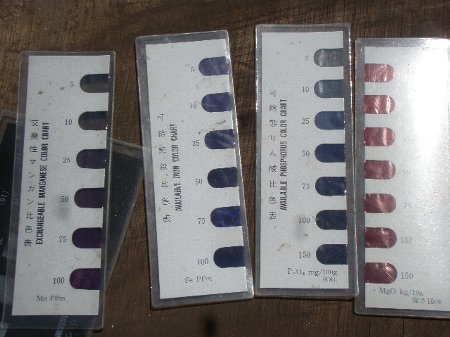 ななほし会 (3).JPG