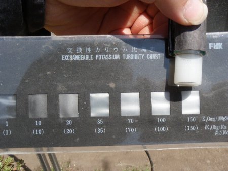 ななほし会 (5).JPG