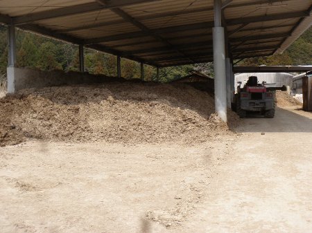 江尻牧場 (2).JPG