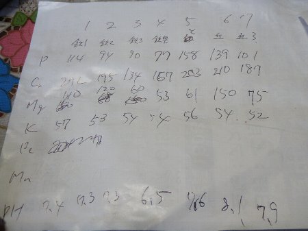 ななほし会 (6).JPG