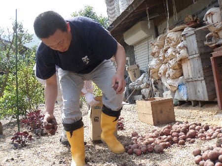 割烹の宿　美鈴　若さま.JPG