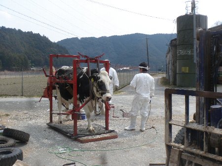 江尻牧場 (4).JPG