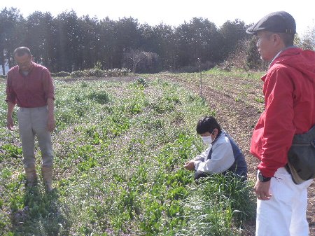 ななほし会 (9).JPG