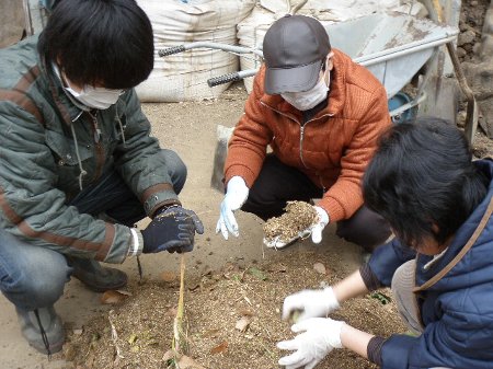 津有機農学校 (3).JPG