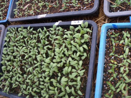 津有機農学校 (4).JPG