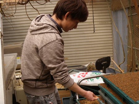 三重大学生　農業体験 (8).JPG