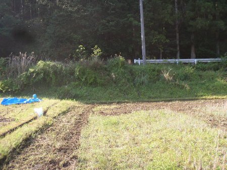 平谷 田起こし (2).JPG