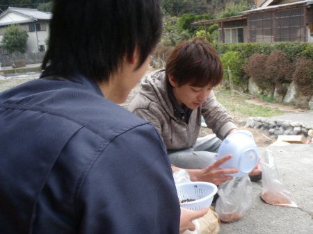 三重大学生　農業体験 (12).JPG