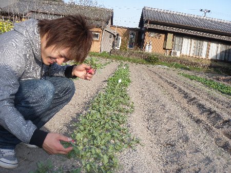 三重大学生　20110410 (7).JPG