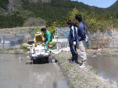 三重大学生　20110410 (9).JPG