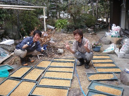 三重大学生 農業体験 (4).JPG