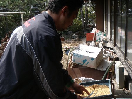 三重大学生 農業体験 (5).JPG