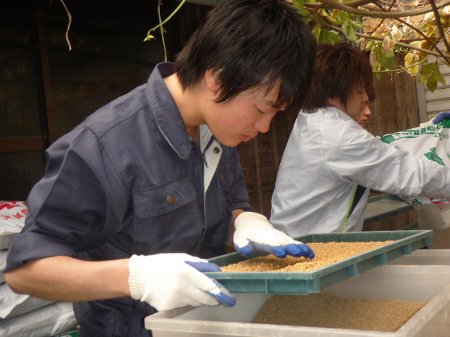 三重大学生 農業体験 (6).JPG