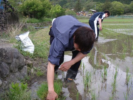 被災地に送るお米プロジェクト (3).JPG